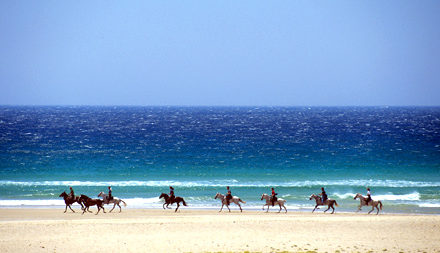 Horse riding on the beach in the Algarve - Savile Row Travel