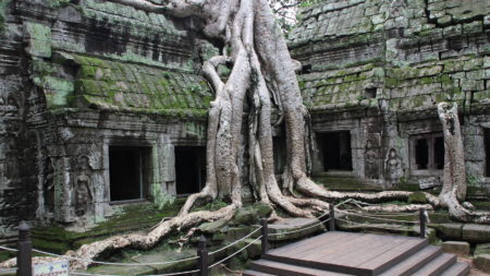 Explore ancient ruins of Ta Prohm at dawn in Cambodia - Savile Row Travel