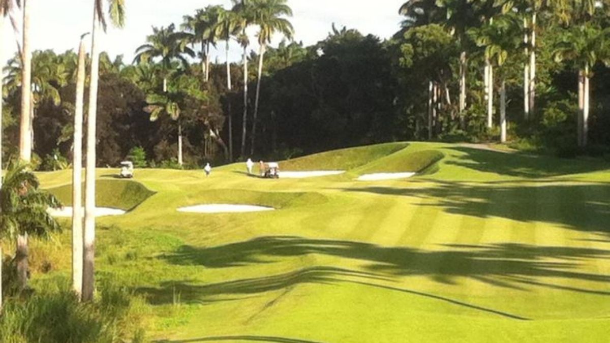 Treasure Beach Barbados Golf