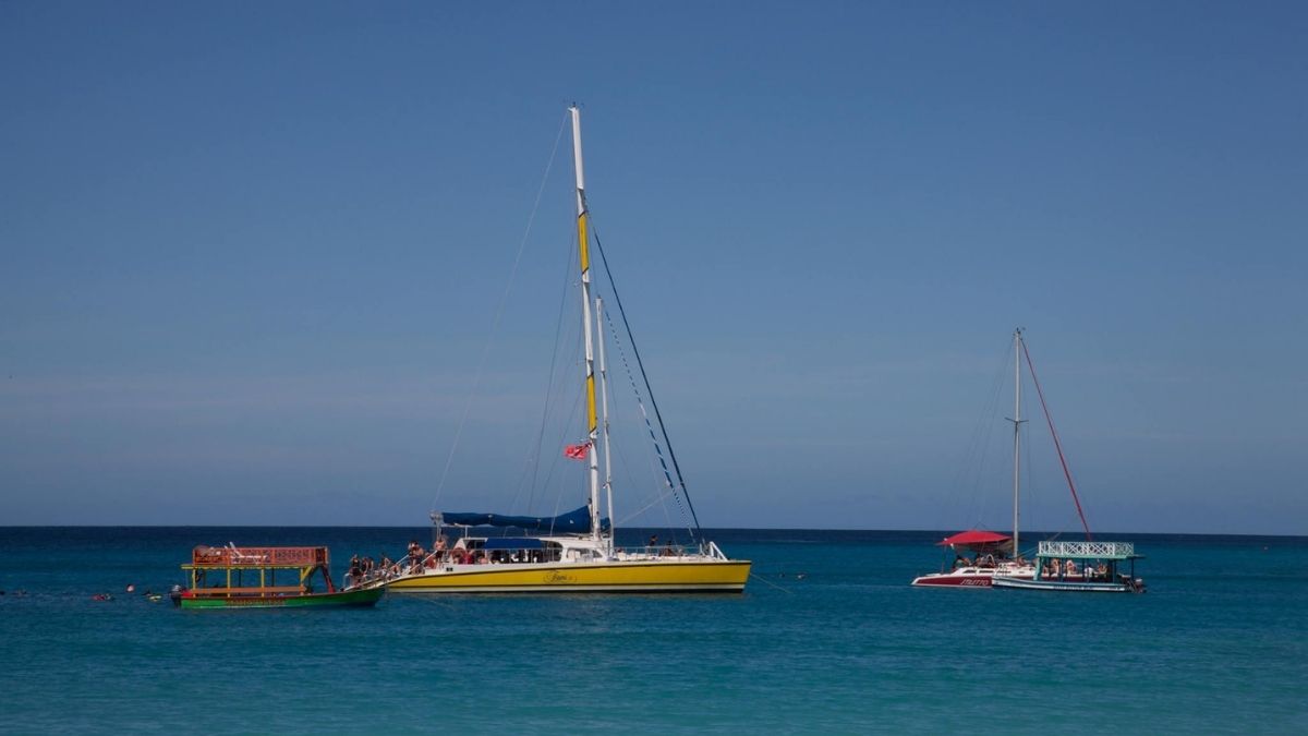 Treasure Beach Barbados Swim with turtles