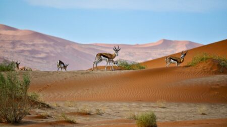 Namibia