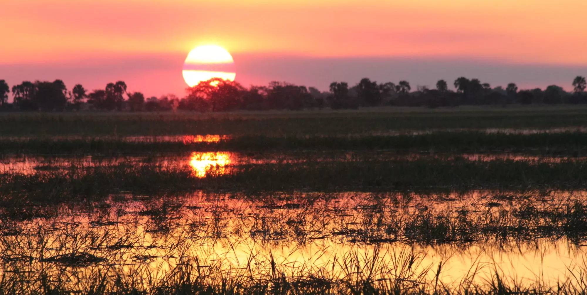 Safari: Botswana Okovango