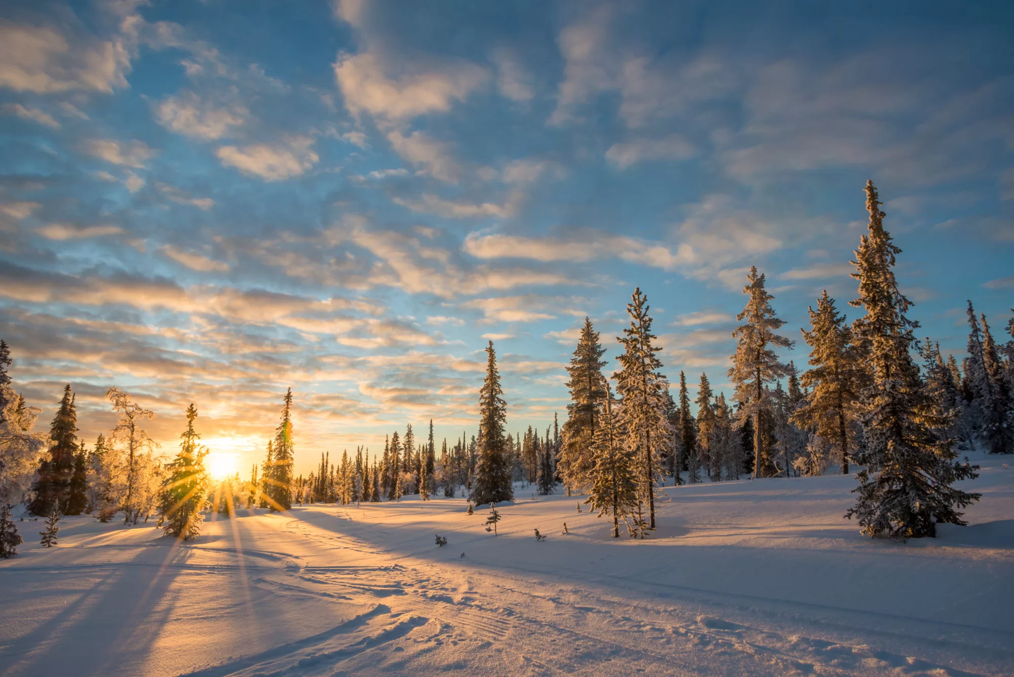 Keeping The Magic Alive: Lapland