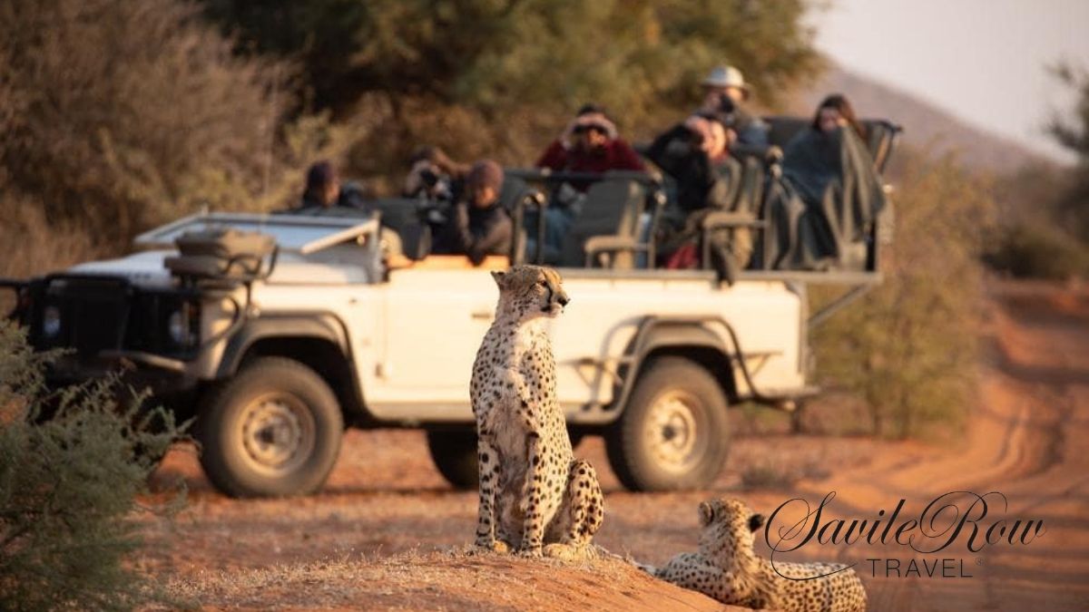 Tswalu Kalahari Cheetah