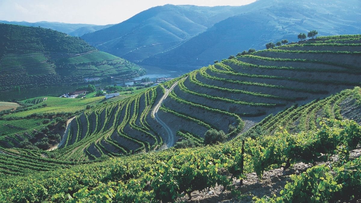 Douro Valley Portugal