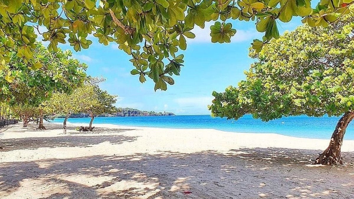 Mount Cinnamon Grenada Great Anse Beach