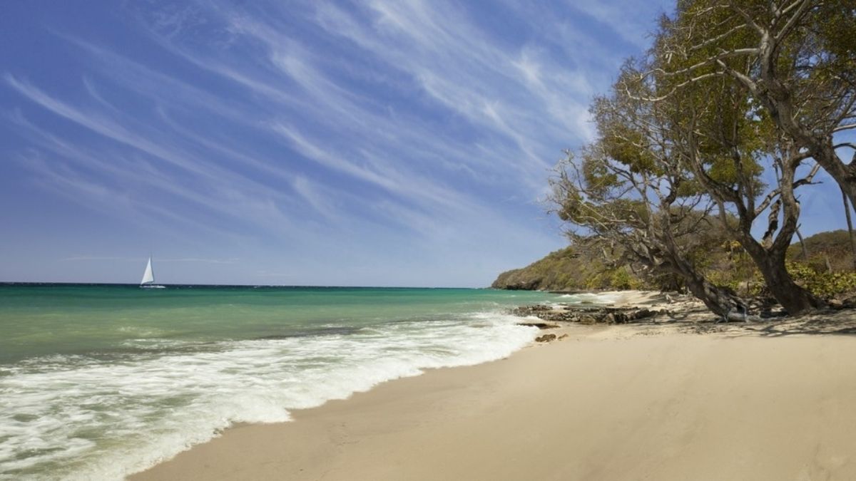 The Liming Beach Bequia 