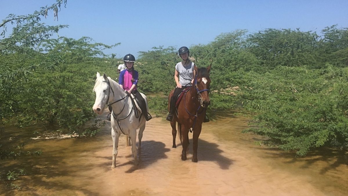 Sir Bani Yas Island Riding UAE