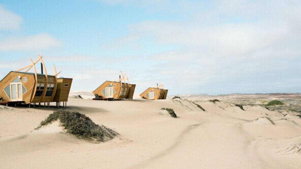 namibia safari