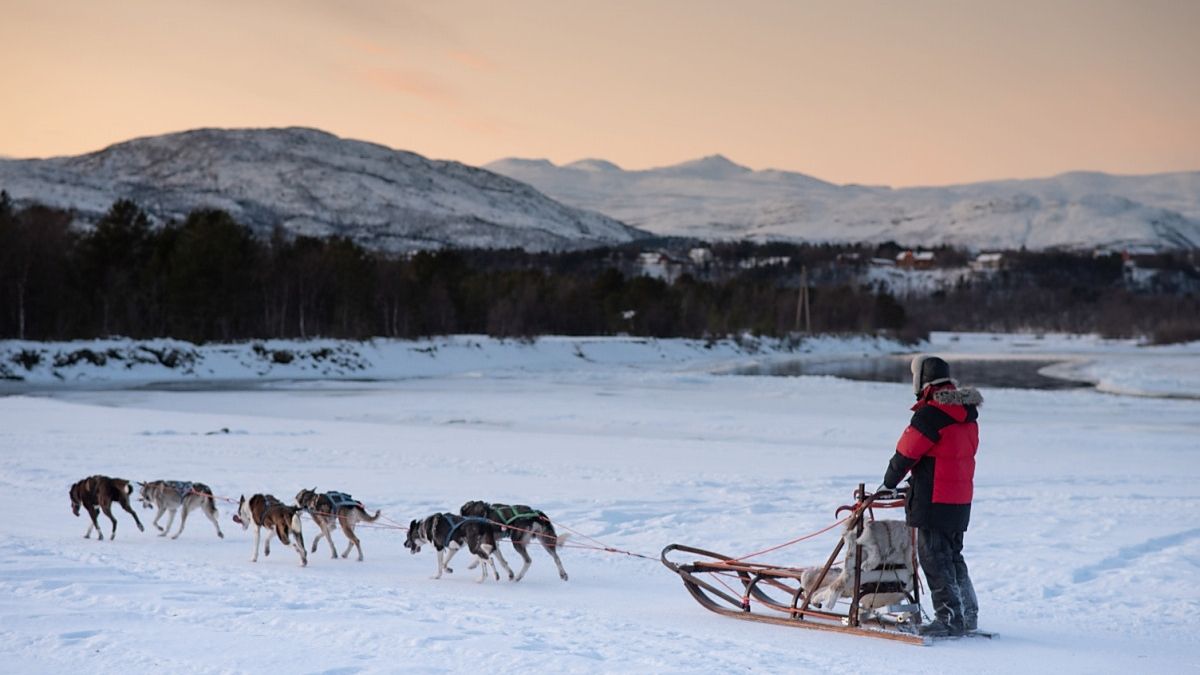 Sorrisniva Norway Dog Sled 