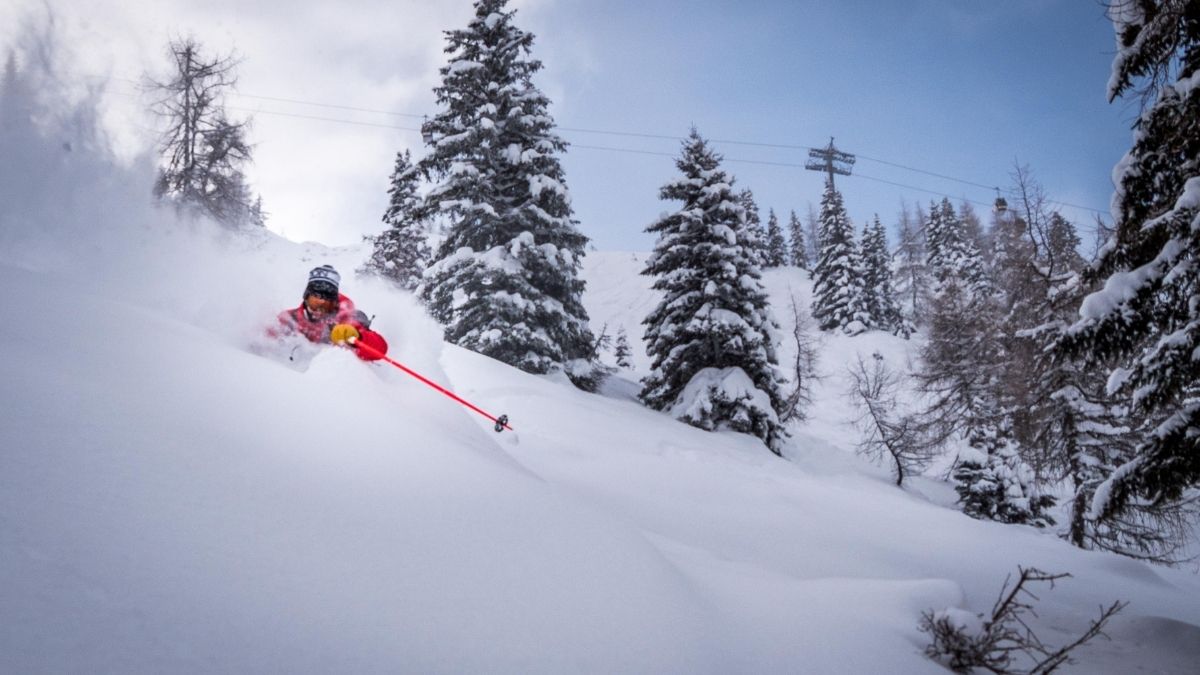 whistler ski