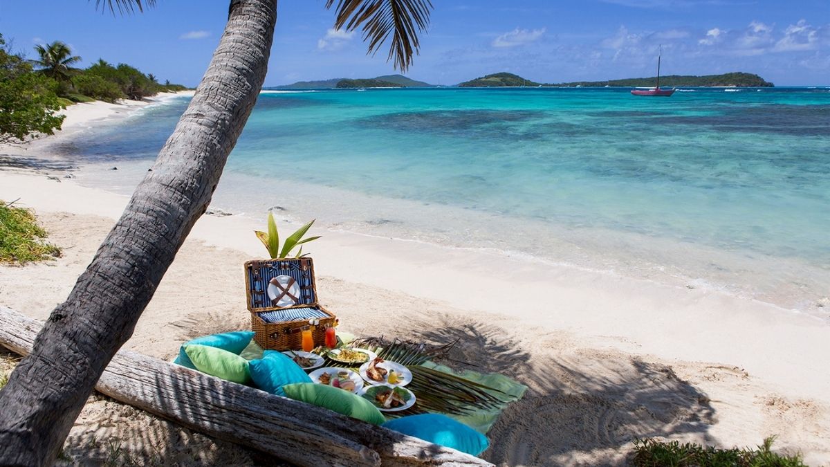Palm Island Grenadines Beach Picnic Romantic Retreats 