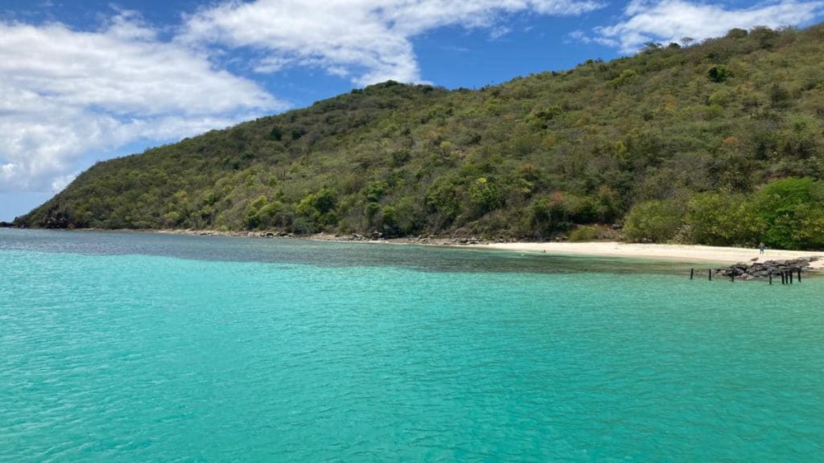 flamingo beach puerto rico