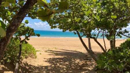 Wyndham Grand Rio Mar Puerto Rico beach