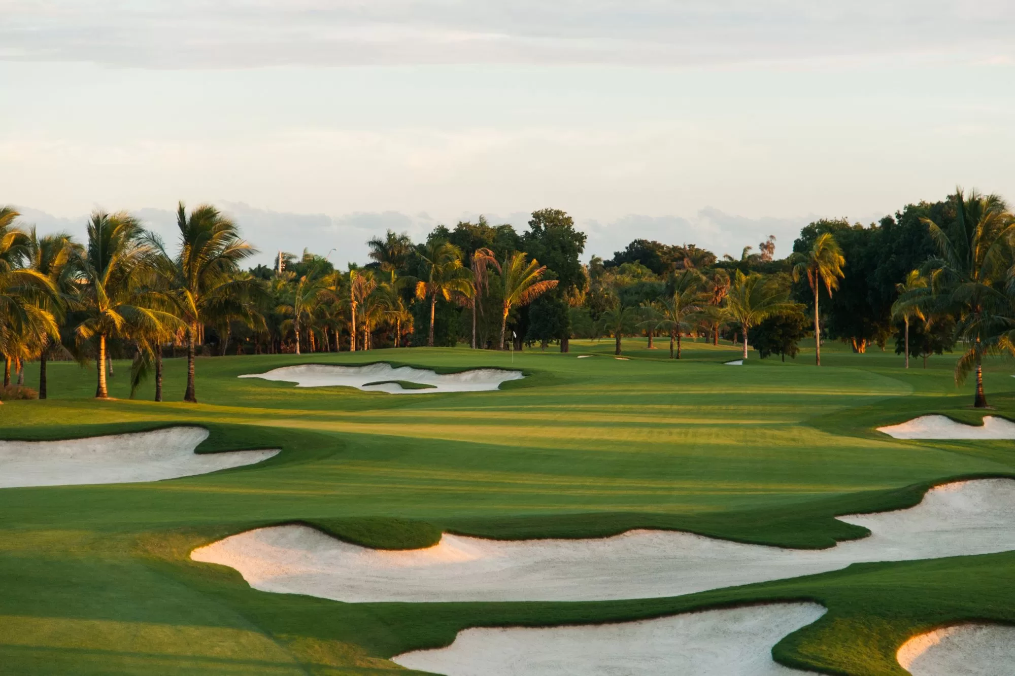 Tour Miami’s legendary golf courses