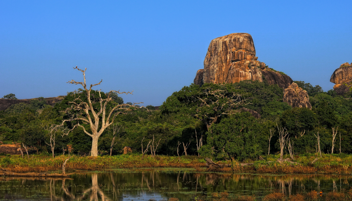 Bird spotting at Yala National Park, Sri Lanka