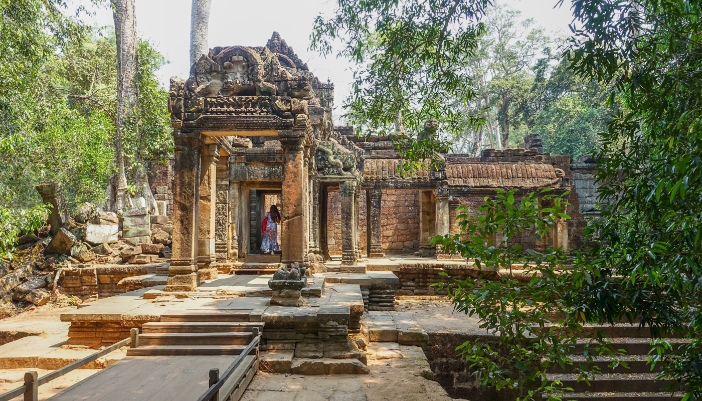 Explore ancient ruins of Ta Prohm at dawn in Cambodia
