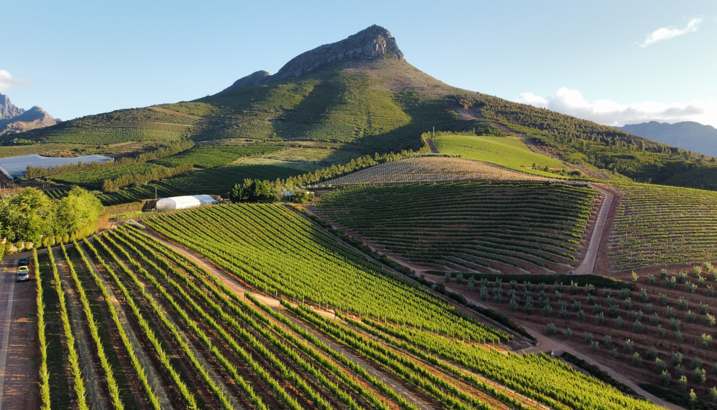 Become a wine expert in South Africa’s wine regions